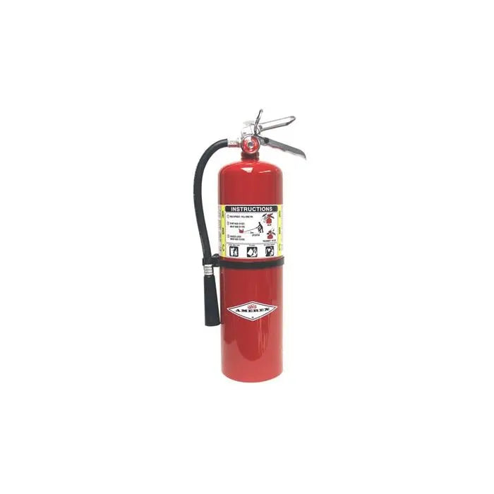 Dry Chemical Fire Extinguisher - 10 lbs