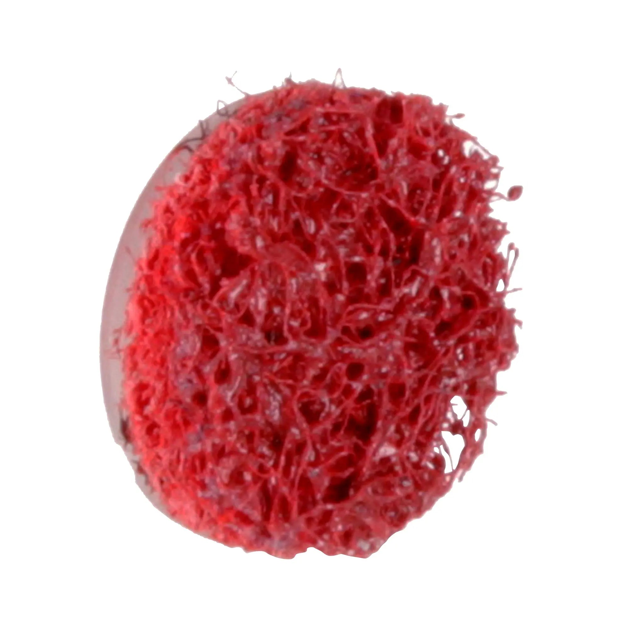 Scotch-Brite Roloc Precision Surface Conditioning Disc PN-DS Medium TS 3/4 in , 1 Each