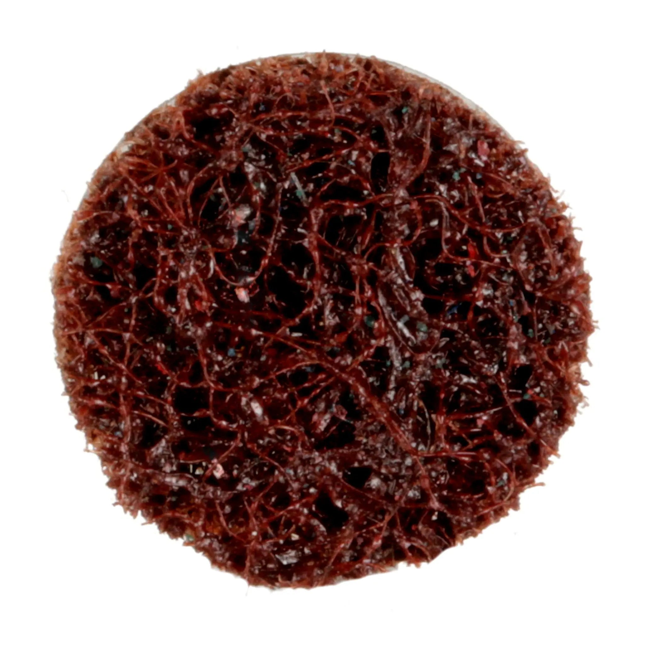 Scotch-Brite Roloc Precision Surface Conditioning Disc PN-DS Coarse TS 3/4 in , 1 Each