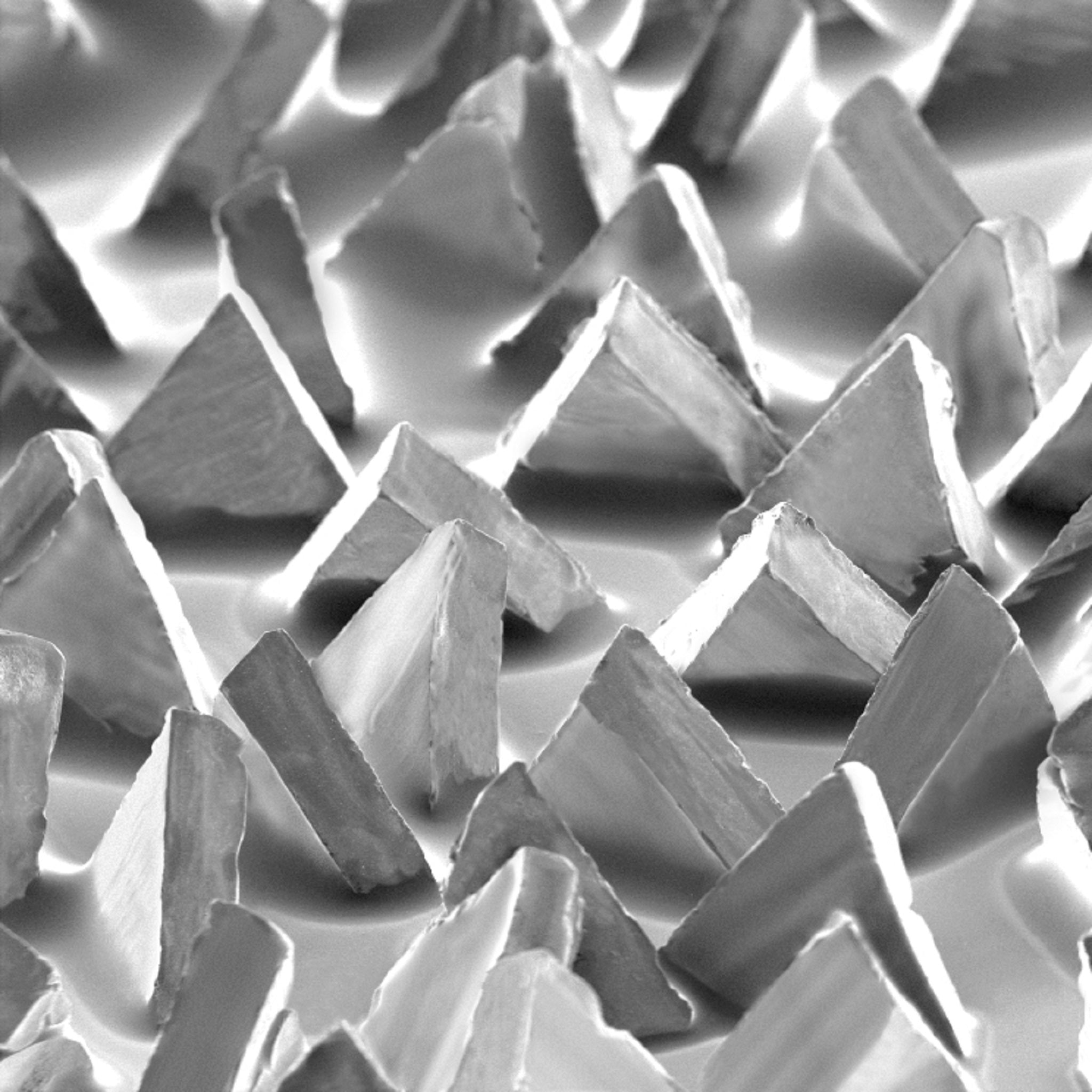 3M Cubitron II 7000000392/982C Fibre Disc, 36 Grit, 5 in x 7/8 in Arbor, Die 500P