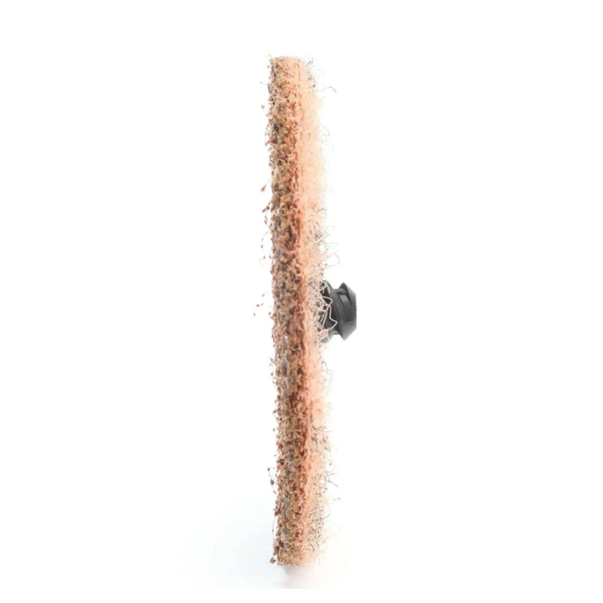 3M Scotch-Brite 7000000756 Roloc TR Surface Conditioning Disc with Scrim, SC-DR, Aluminum Oxide Coarse, 3 in, 1 Each