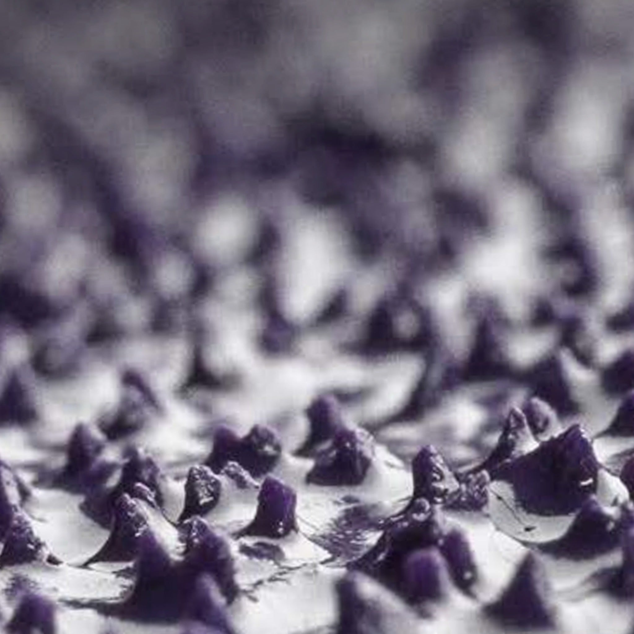 3M Cubitron 3 7100380494/1169F Flap Disc, 40+, T29-Conical, 5 in x 7/8 in, Case of 10