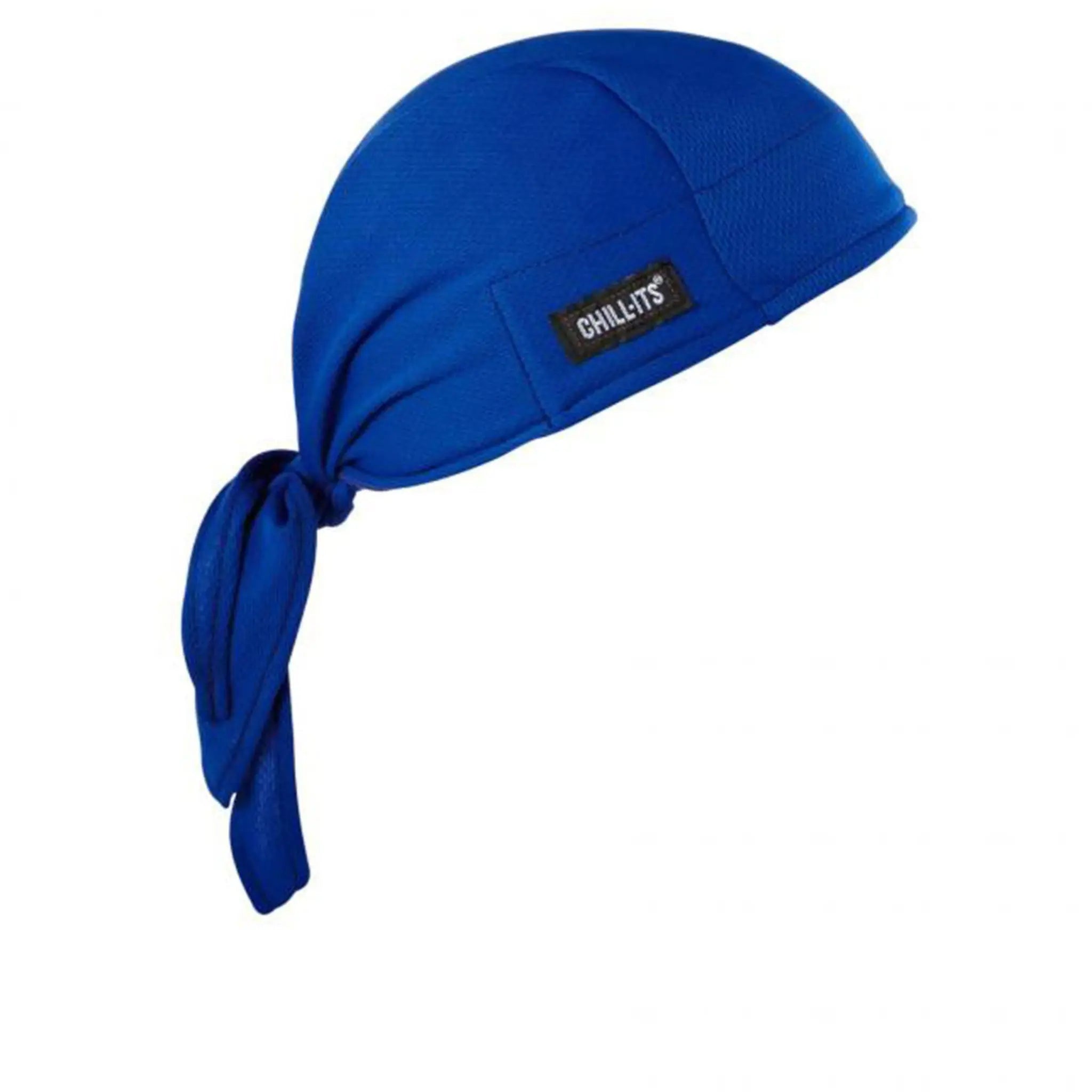 Ergodyne 12481 Chill-Its 6615 Polyester Hat, Blue, 1 Each