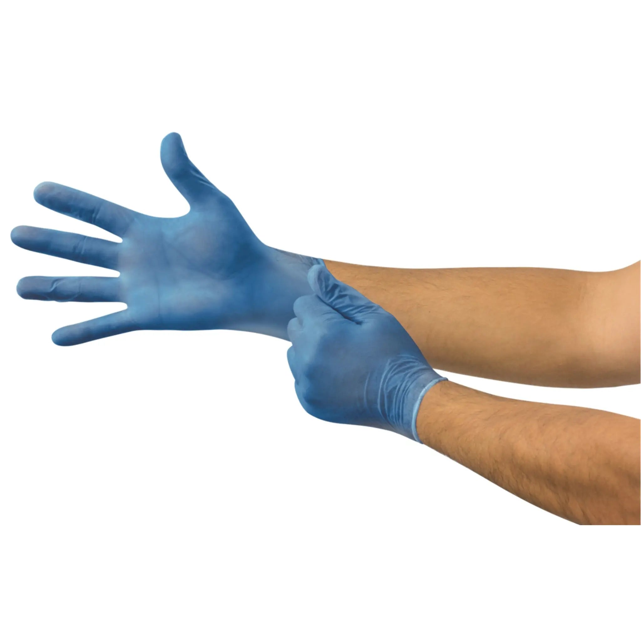 Ansell V29 Powder Free Vinyl Gloves-main-Image
