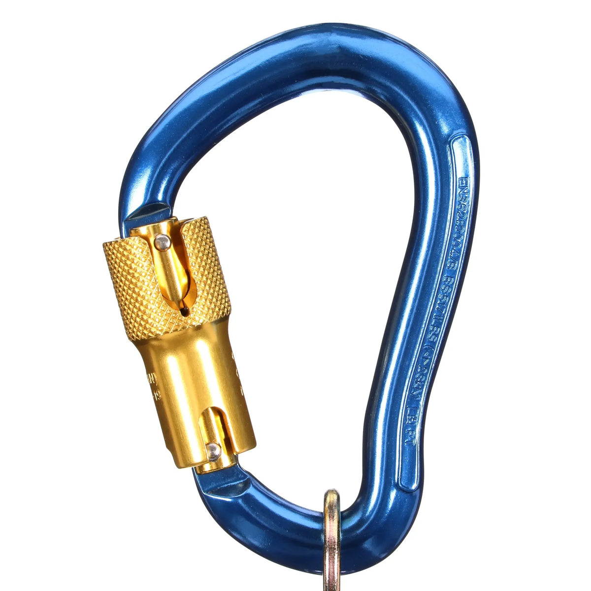 3M DBI-SALA Self-Closing/Locking Carabiner 2000025, Aluminum, Blue, 3/4 in Gate, 1 Each, Main Image