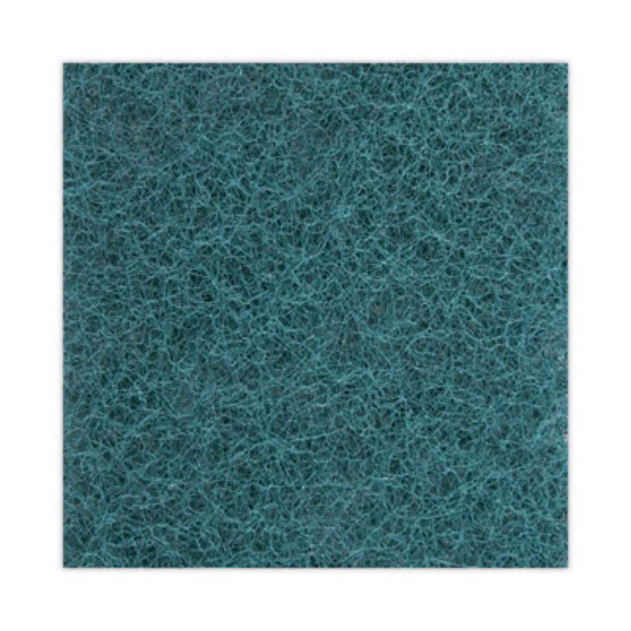 BOARDWALK BWK186 Heavy-Duty Scour Pad, Top View