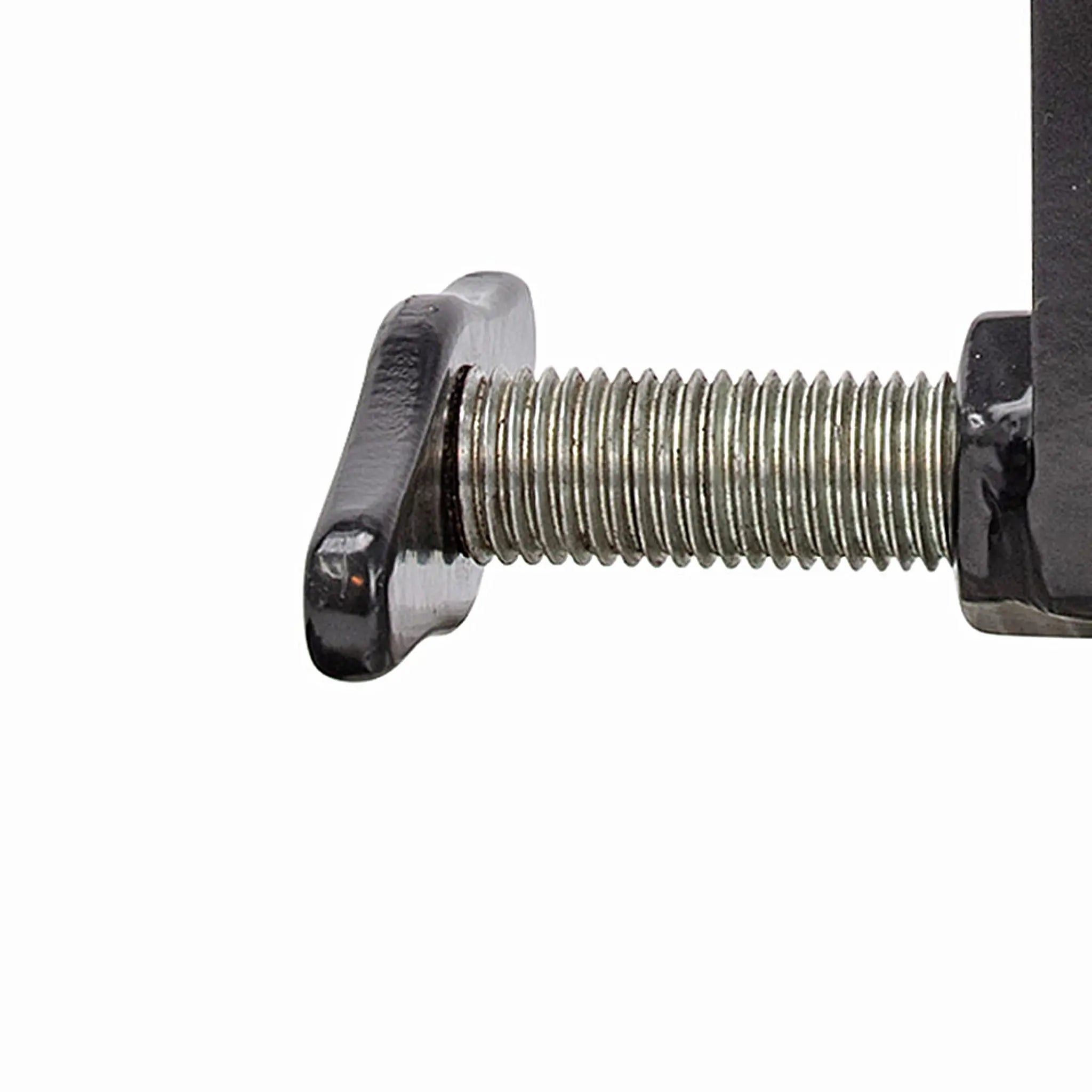 SafeWaze SW900 Parapet Wall Anchor, zinc-plated steel screws and D-ring