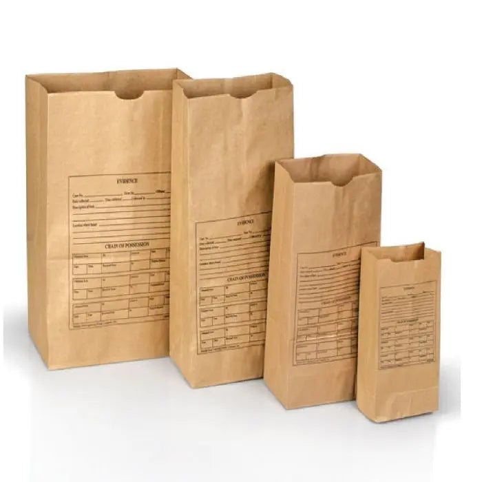 Lightning Powder Printed Paper Evidence Bags