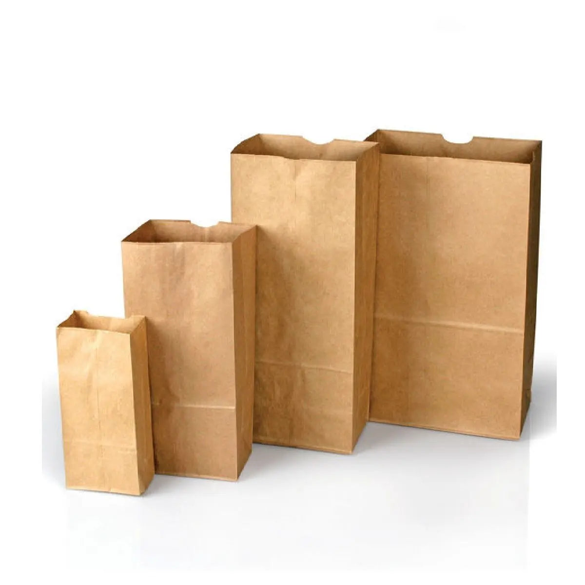 Lightning Powder Plain Paper Evidence Bags