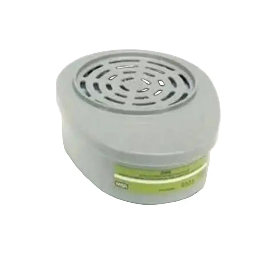 MSA N95 Advantage® Particle Filters 10/PK