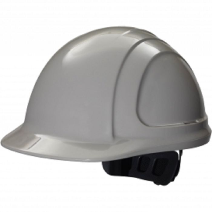 Honeywell North Zone N10R090000 Hard Hat, Gray, One Size, Box of 12