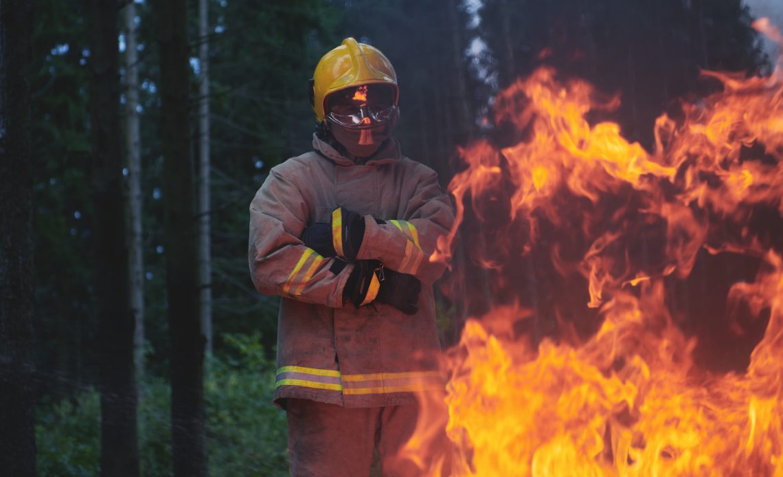 Health Problems Associated with Wildfire Smoke Inhilation