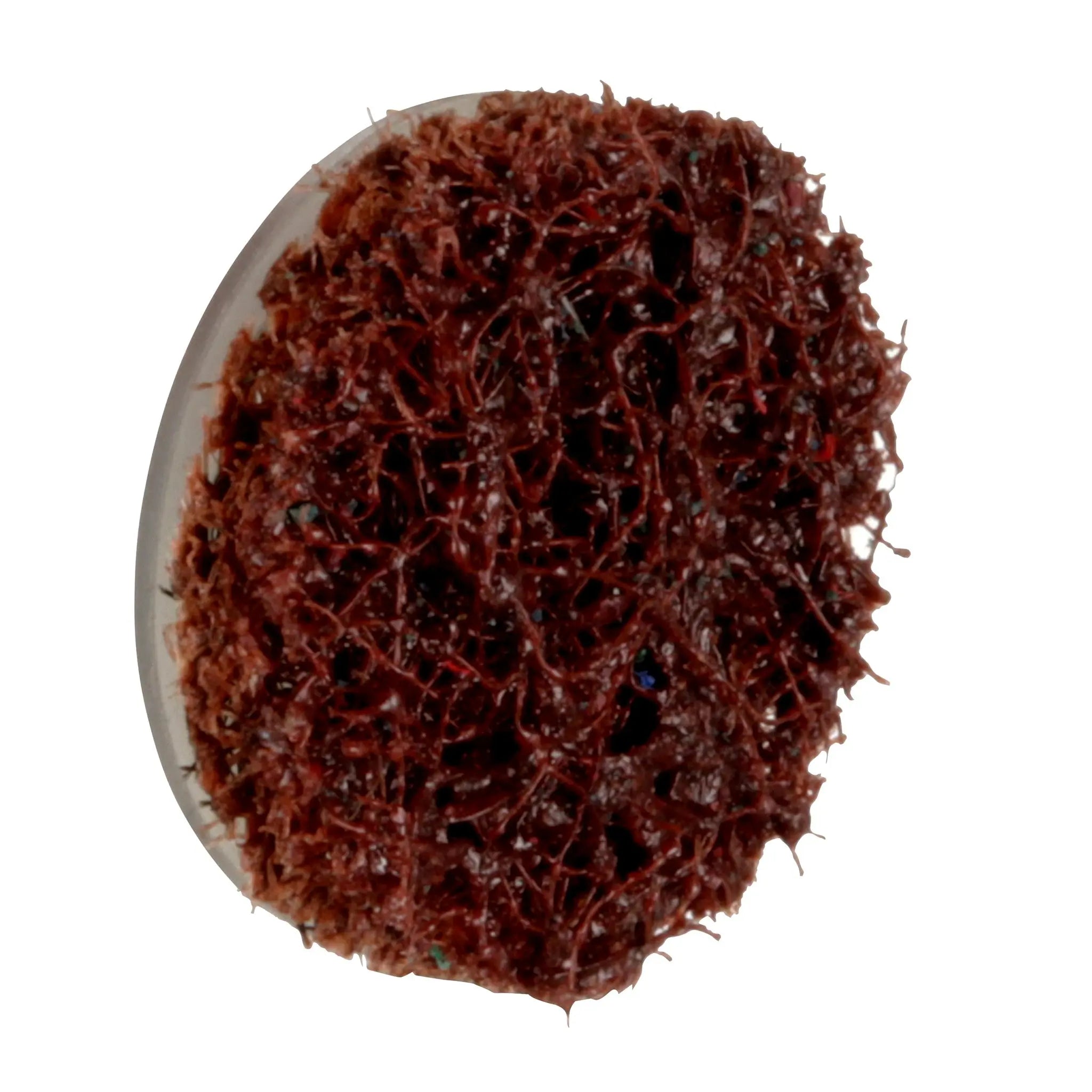 Scotch-Brite Roloc Precision Surface Conditioning Disc PN-DS Coarse TS 3/4 in , 1 Each 