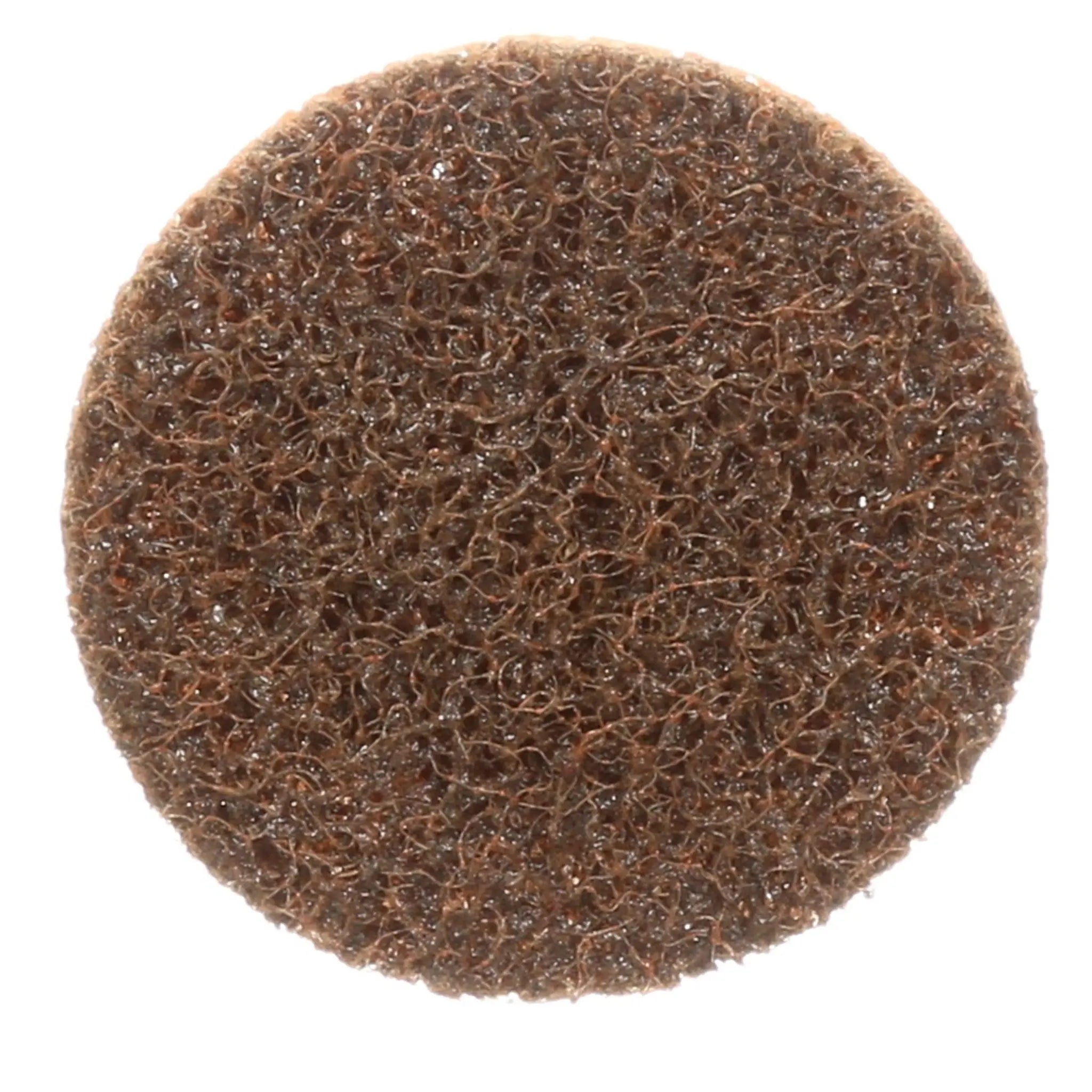 3M Scotch-Brite 7000000752 Roloc TR Surface-Conditioning Disc, 2 in, Coarse, Center