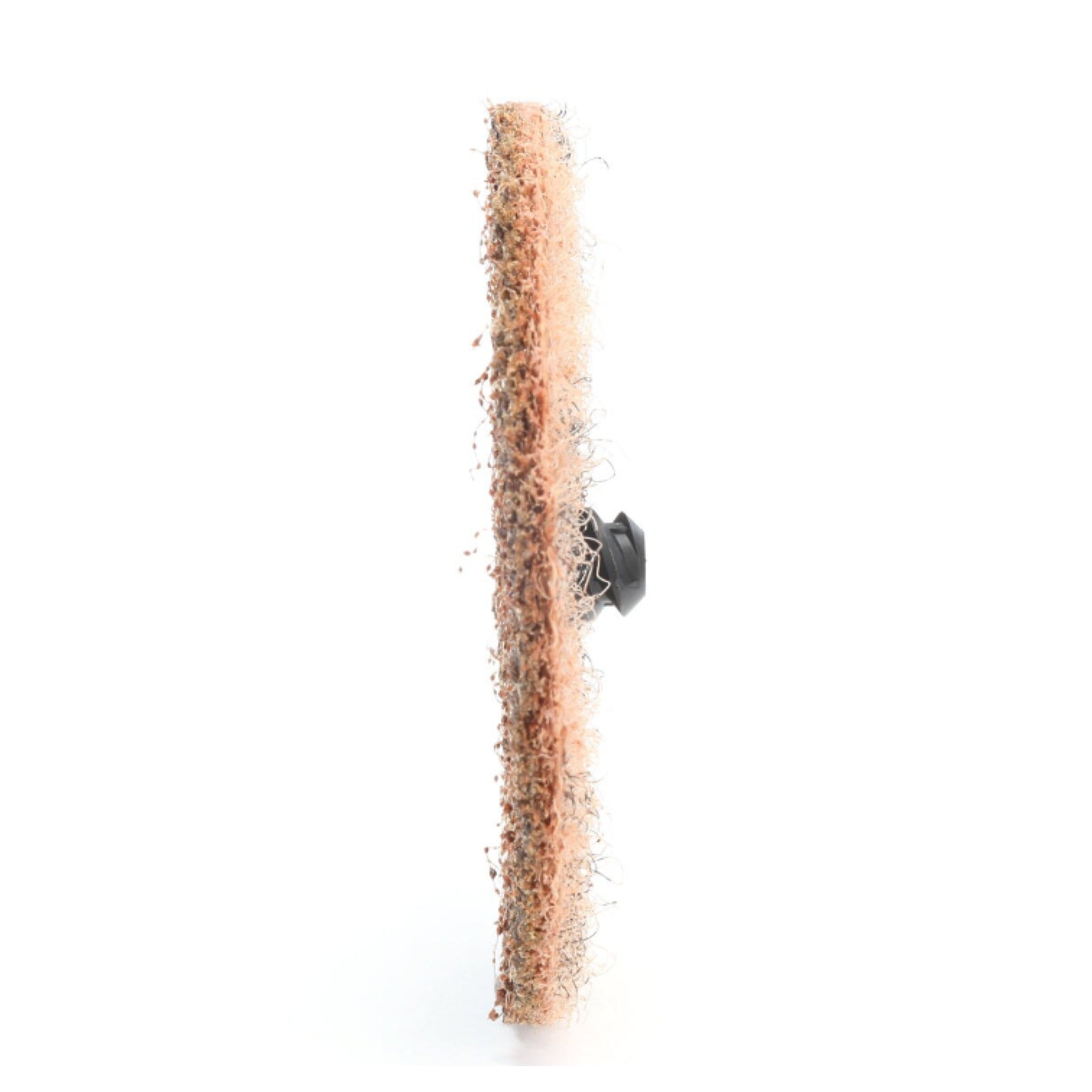 3M Scotch-Brite 7000000756 Roloc TR Surface Conditioning Disc with Scrim, SC-DR, Aluminum Oxide Coarse, 3 in, 1 Each