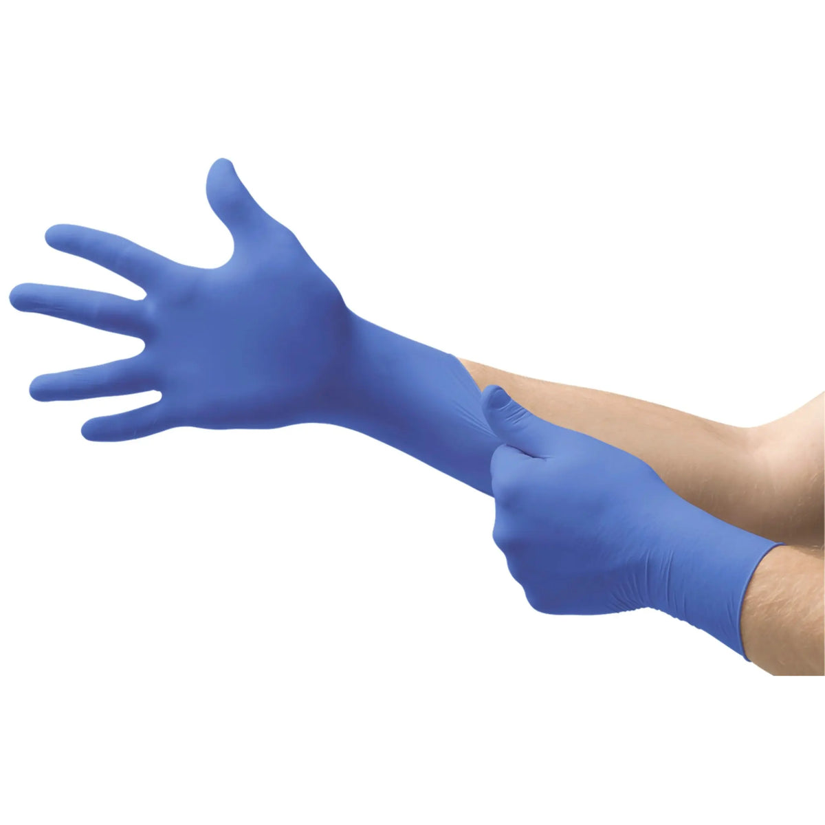 Ansell Microflex N19 Nitrile Exam Gloves, Case of 10 Boxes, Main Image