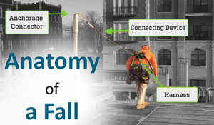 Fall Section Safewaze Fall Protection