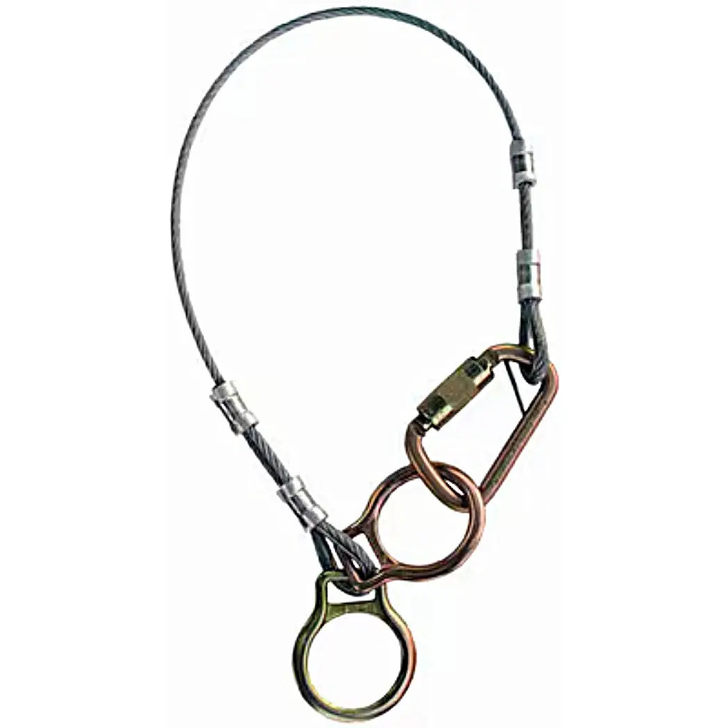 3M Protecta Dual-Ring Cable Tie-Off Adapter Anchor 2190104, Galvanized Steel, 10 ft, 1 Each, Main Image