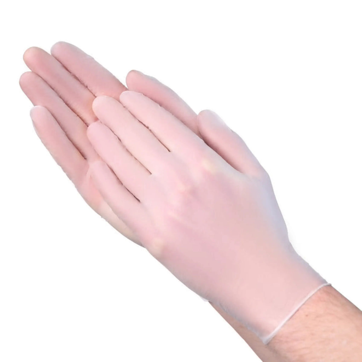 Vanguard VGuard A23A1 Vinyl General Purpose Gloves, Main Image